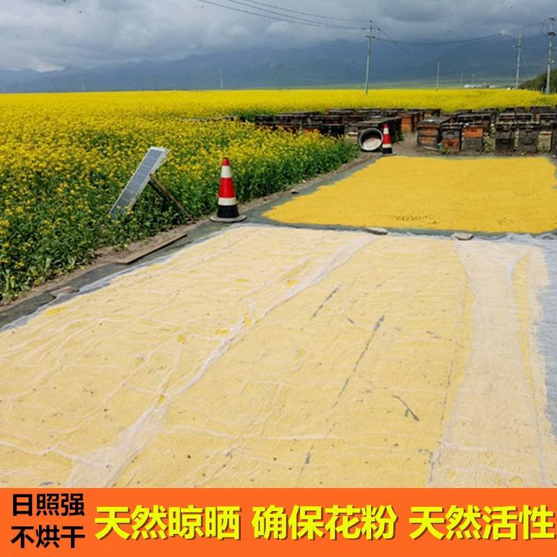 蜂花粉油菜花粉纯粉杂粉喂蜂专用品质好