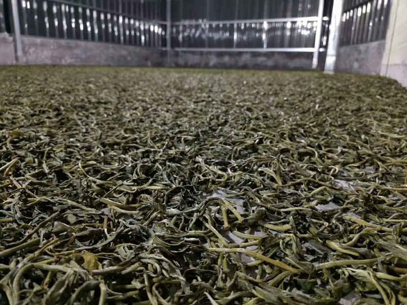 野生红茶，白茶，生茶