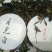 野生红茶，白茶，生茶