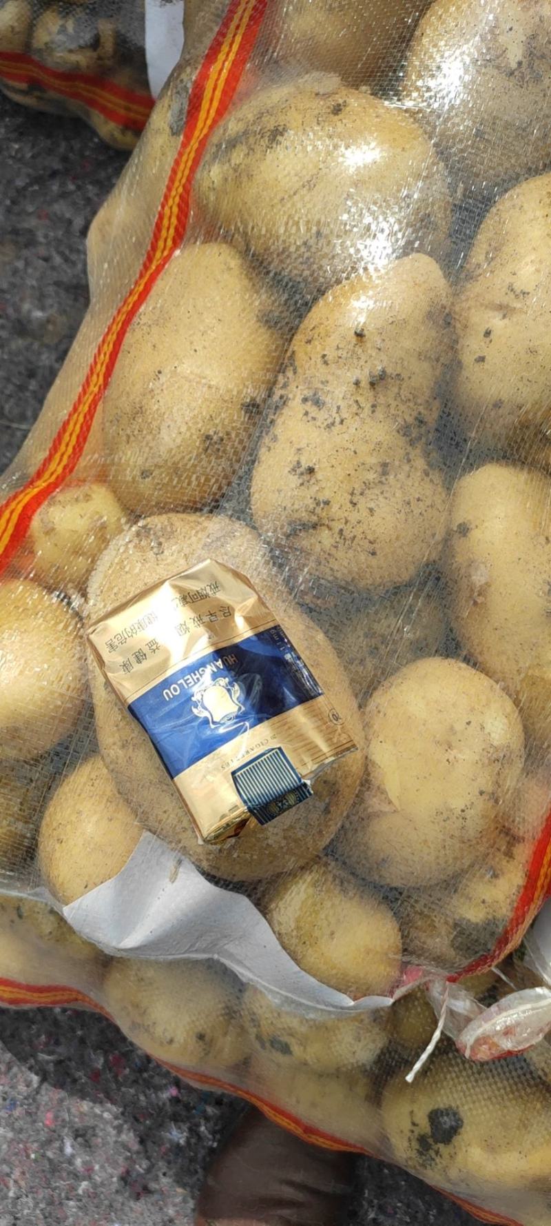 《精品土豆》尤金885实验一土豆黑龙江土豆黄皮黄心