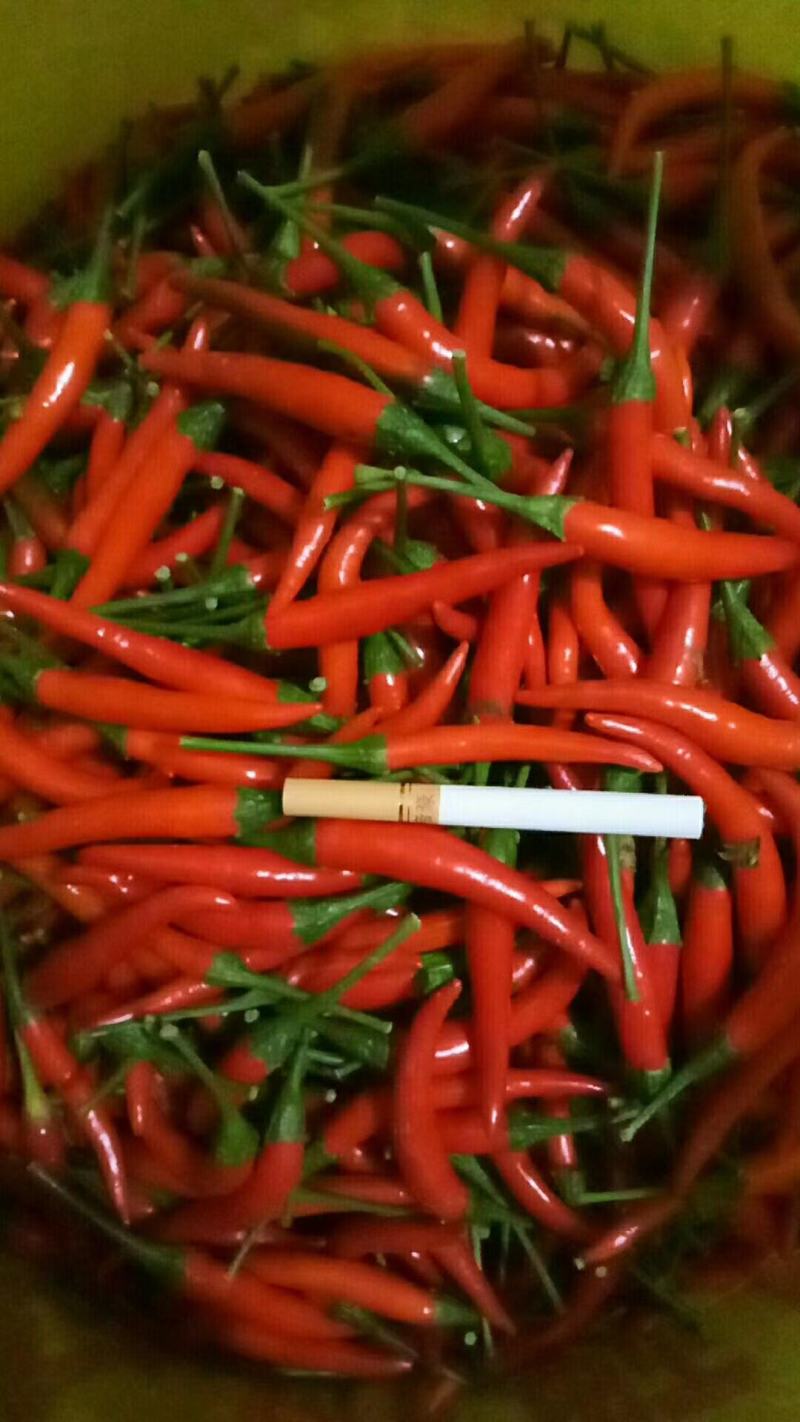 基地供货，质量好价格优。