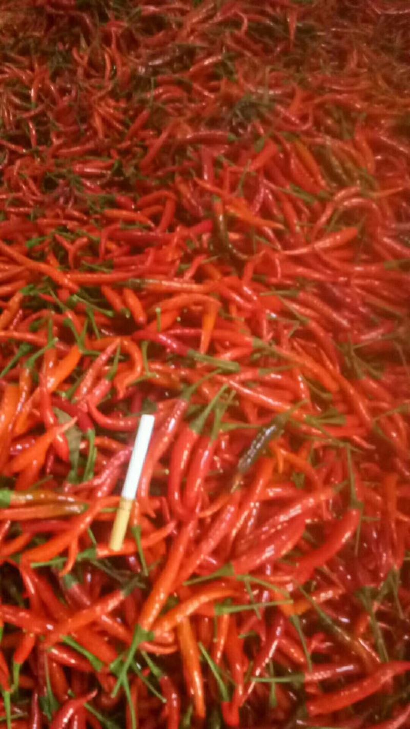 基地供货，质量好价格优。