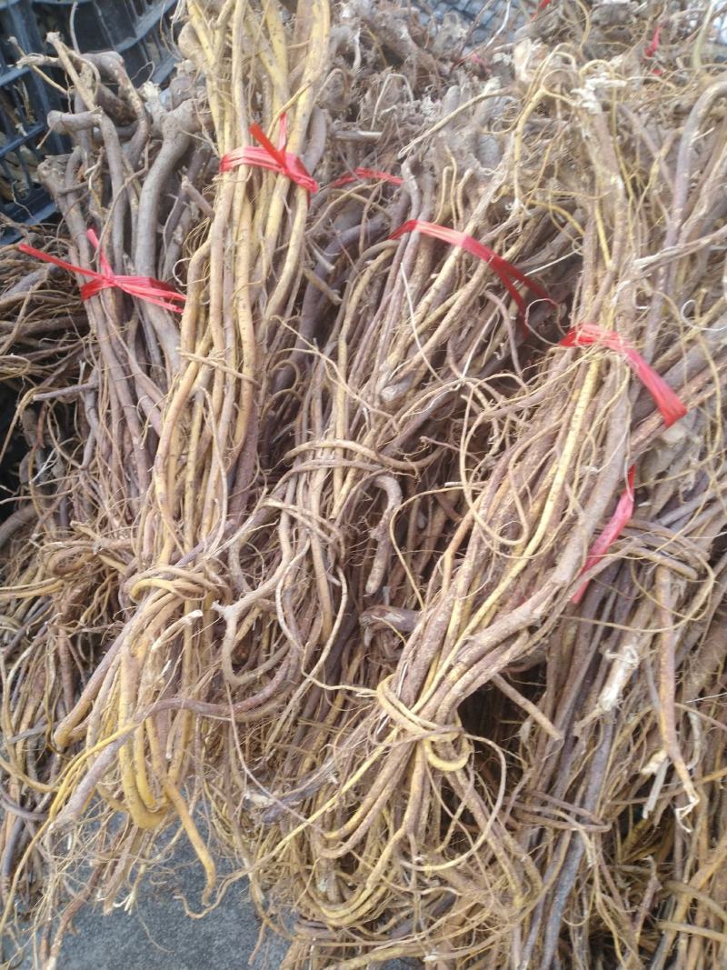 广西大山特香五指毛桃长扎把!切断通干货!无琉，香味纯正