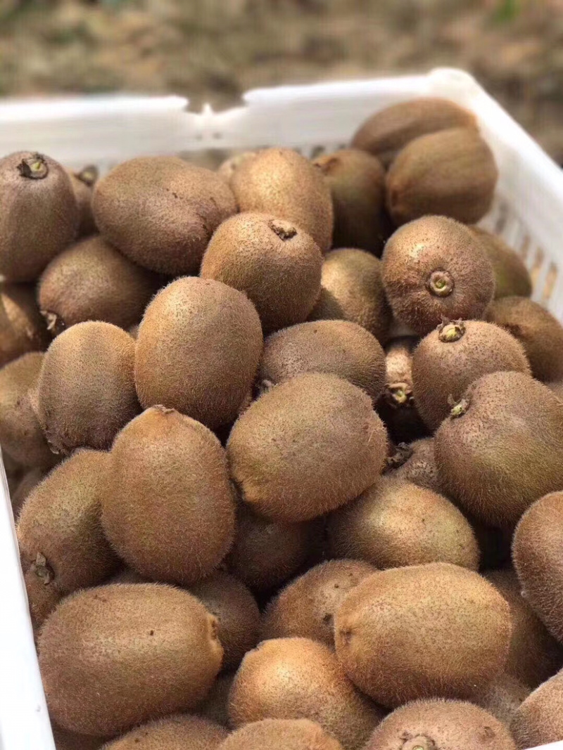 陕西绿心猕猴桃奇异果应季新鲜水果