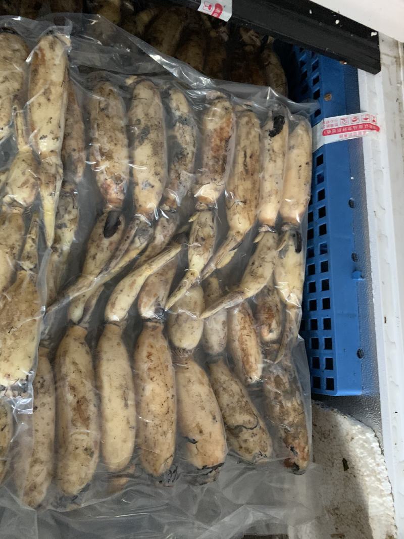 洪湖莲藕，精品藕头，嫩藕，真空包装！基地直供！