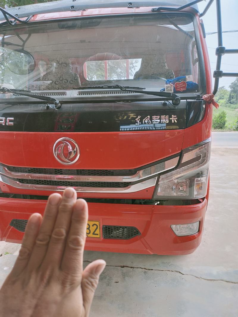 东风多利卡货车黄牌
