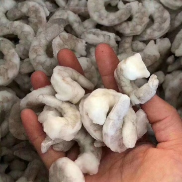 开背虾仁去虾线虾仁白虾仁大虾仁江苏连云港海头直发