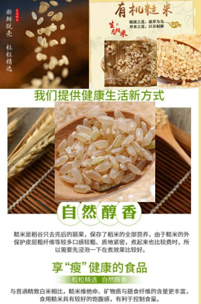 糙米东北糙米会发芽的活米熬粥糙米饱腹米包邮