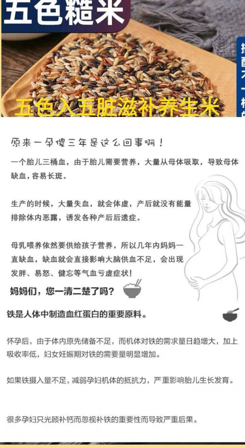 糙米东北糙米会发芽的活米熬粥糙米饱腹米包邮