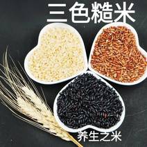 糙米东北糙米会发芽的活米熬粥糙米饱腹米包邮