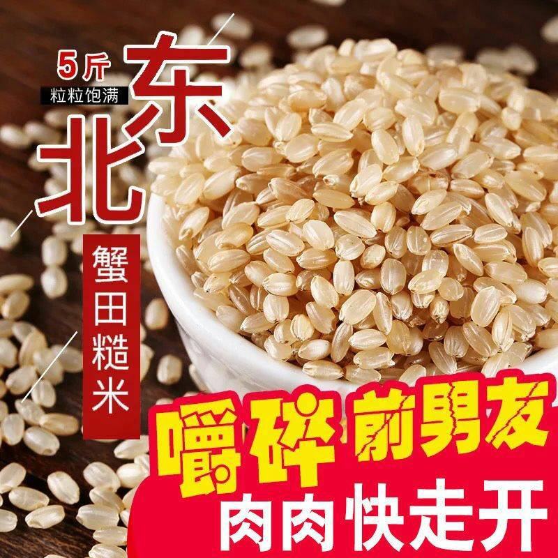 糙米东北糙米会发芽的活米熬粥糙米饱腹米包邮