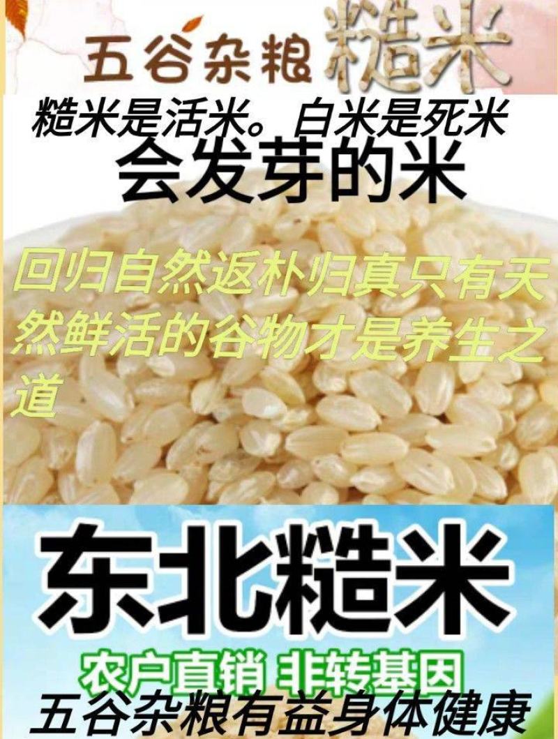 糙米东北糙米会发芽的活米熬粥糙米饱腹米包邮