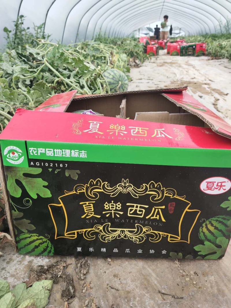 开封美都西瓜上市了，代收，代发，欢迎新老客户前来
