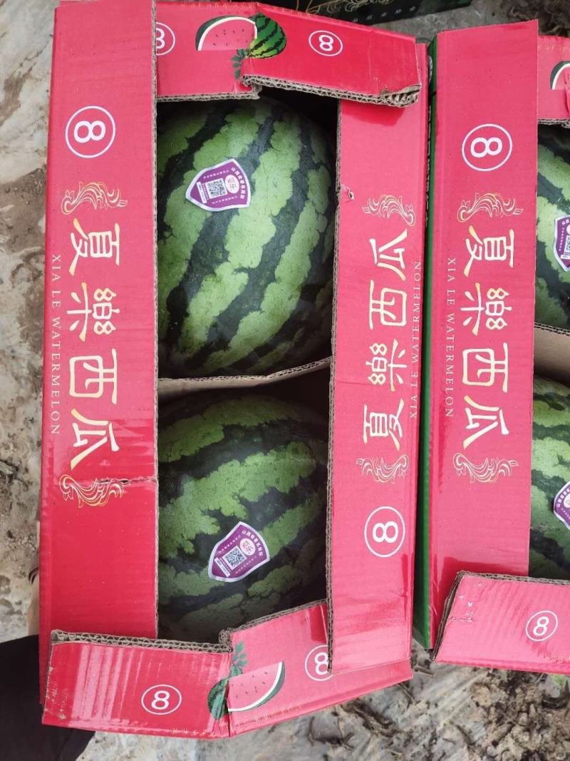 开封美都西瓜上市了，代收，代发，欢迎新老客户前来