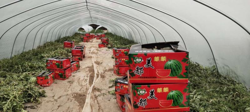 开封美都西瓜上市了，代收，代发，欢迎新老客户前来