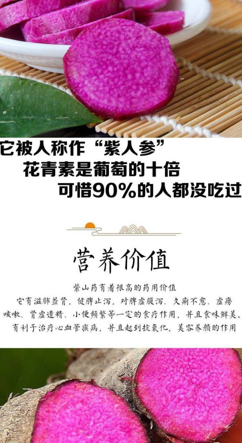 山药紫色山药现挖现卖紫山药新鲜紫山药花青素山药包邮