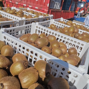 太白山下优区徐香你喉桃色好量大。