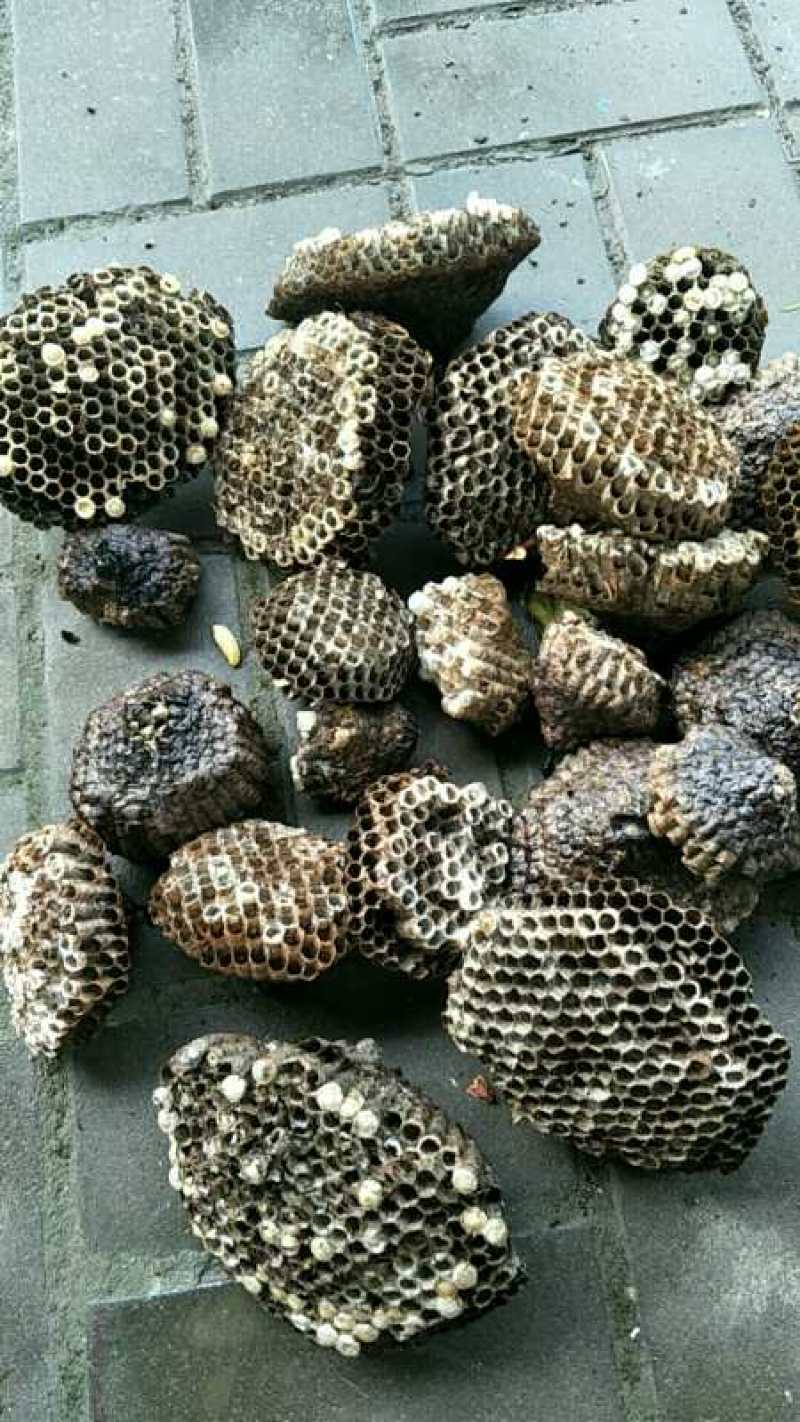 2021年自己打的软蜂窝，大眼软蜂房