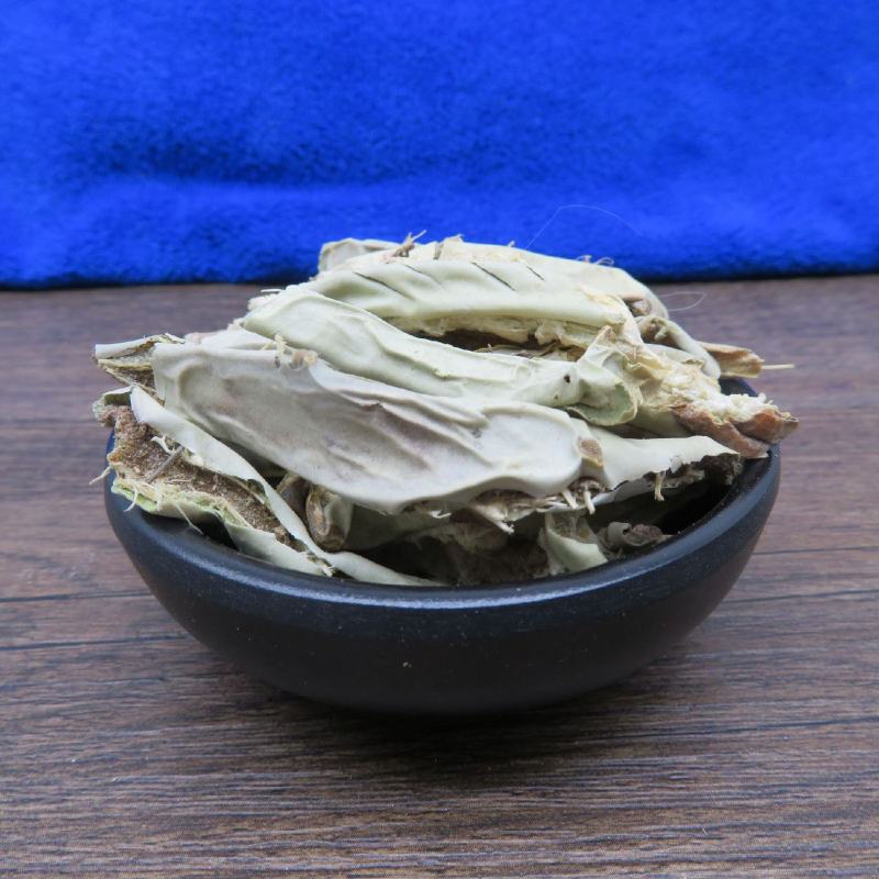 仙人掌可打粉仙人掌干龙舌观音掌批发零售中药材