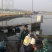 青鱼青鱼青鱼青鱼青鱼青鱼南京附近200公里送货上门