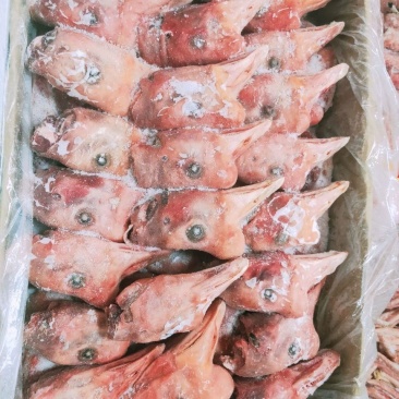 【鹅头】20斤新鲜冷冻老仔鹅鹅头卤味红烧好食材