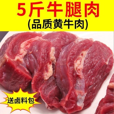 牛腿肉生牛肉新鲜黄牛肉冷冻调理生鲜牛肉批发卤炖火锅食