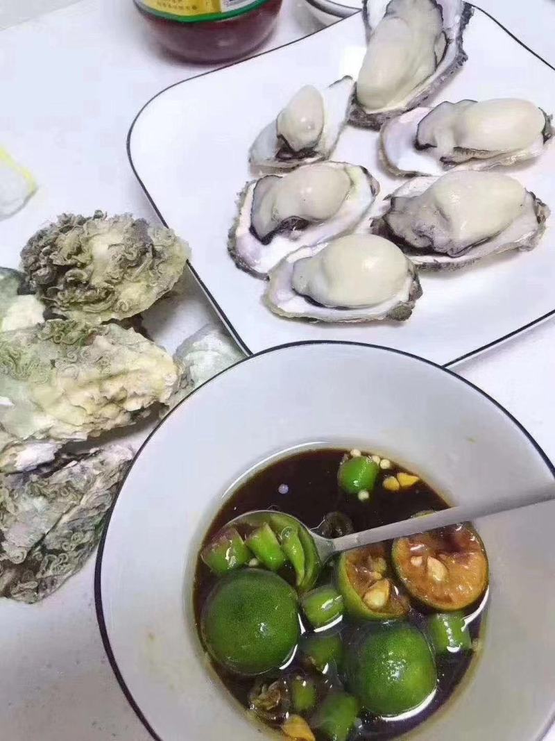山东乳蚝，肥肥胖胖，营养丰富。