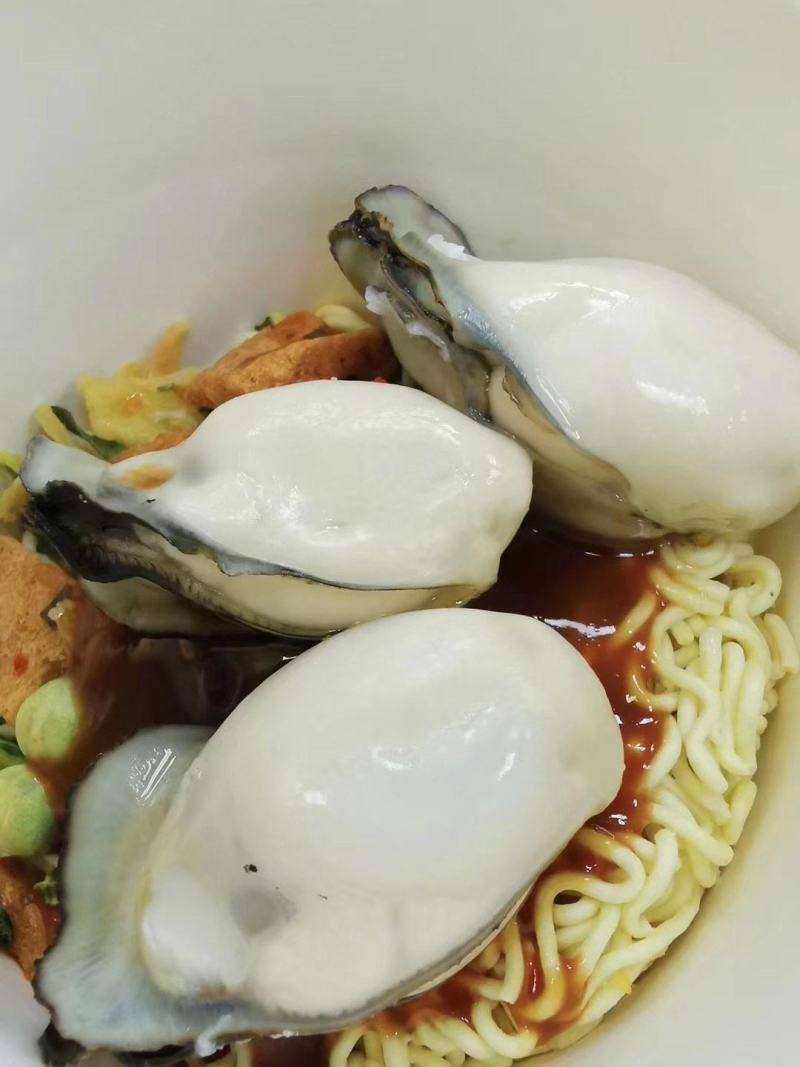 山东乳蚝，肥肥胖胖，营养丰富。