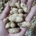 海花峰花两粒红鲜花生当季光头强人工筛选饱满度好