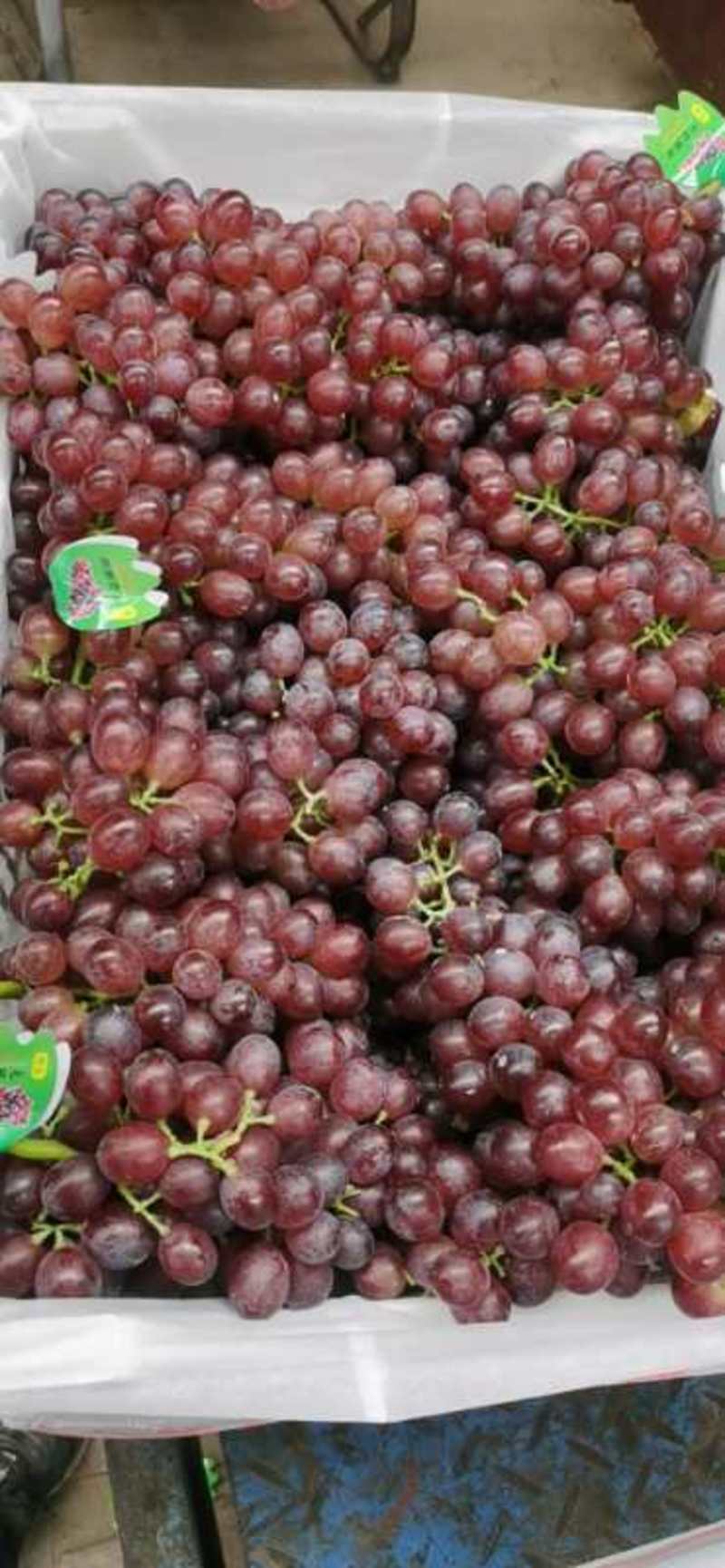 精品巨峰葡萄夏黑葡萄，红宝石葡萄大量上市河北威县代收代办