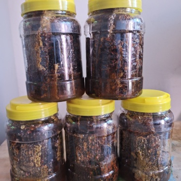 【瓶装老巢蜜】蜂场直销塑料瓶装嚼着吃的百花老巢蜜