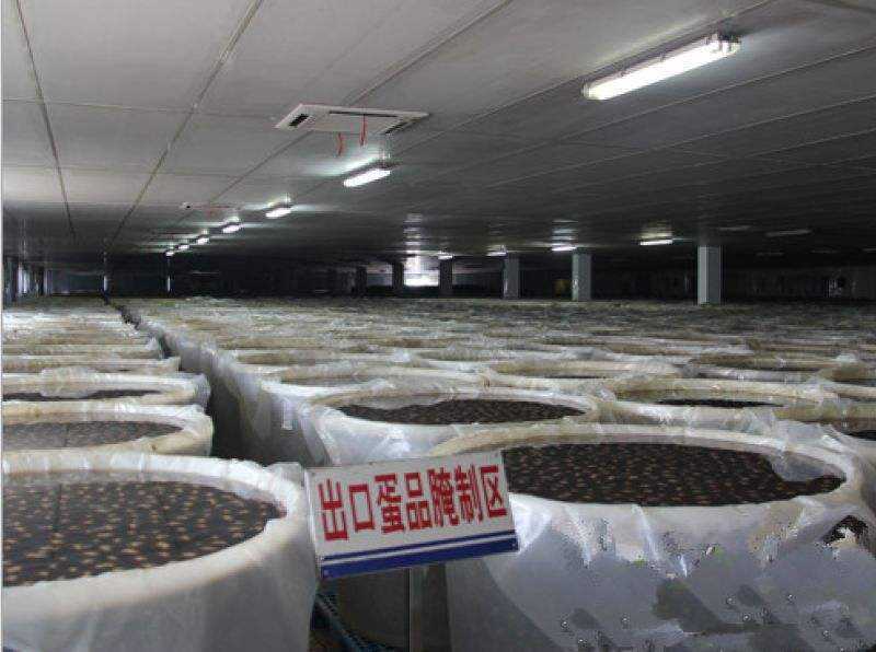 食品级泡菜专用塑料桶敞口塑料桶厂家直销