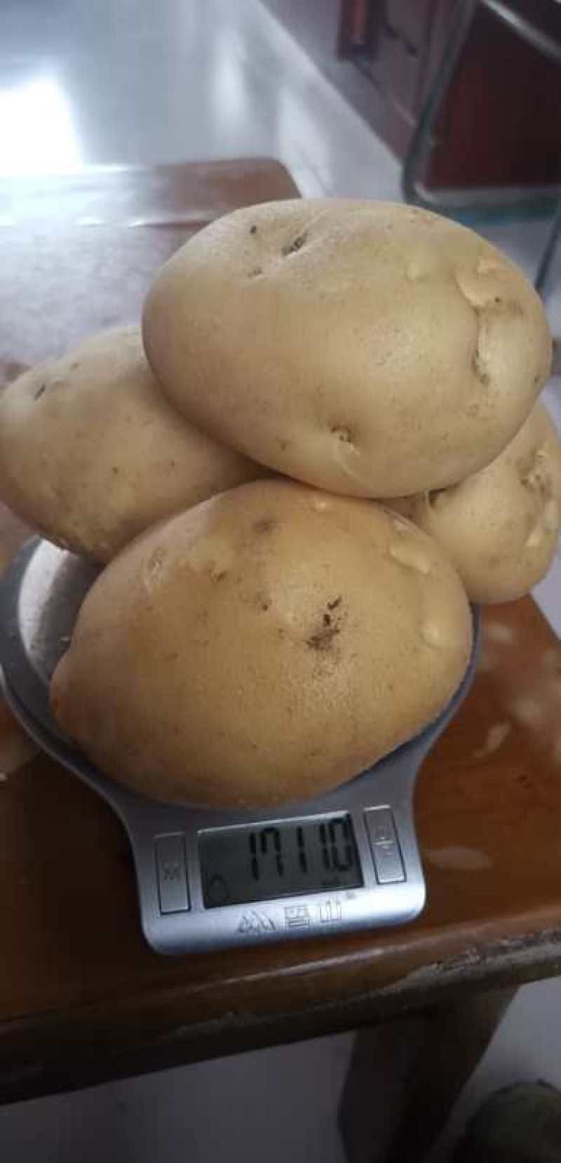 齐齐哈尔土豆大量上市中