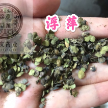 浮萍保庆药业现货干货浮萍实物拍摄发货如图