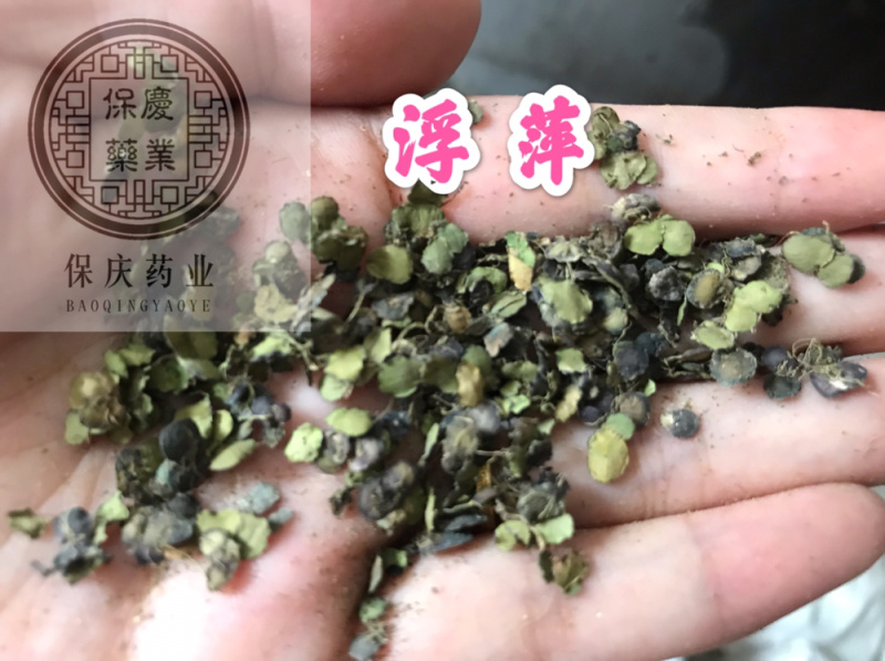 浮萍保庆药业现货干货浮萍实物拍摄发货如图