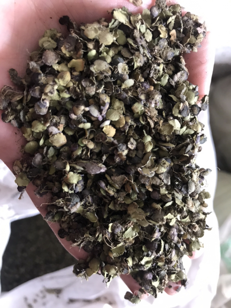 浮萍保庆药业现货干货浮萍实物拍摄发货如图