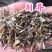 荆芥现货过筛货荆芥杆荆芥段实物拍摄发货如图
