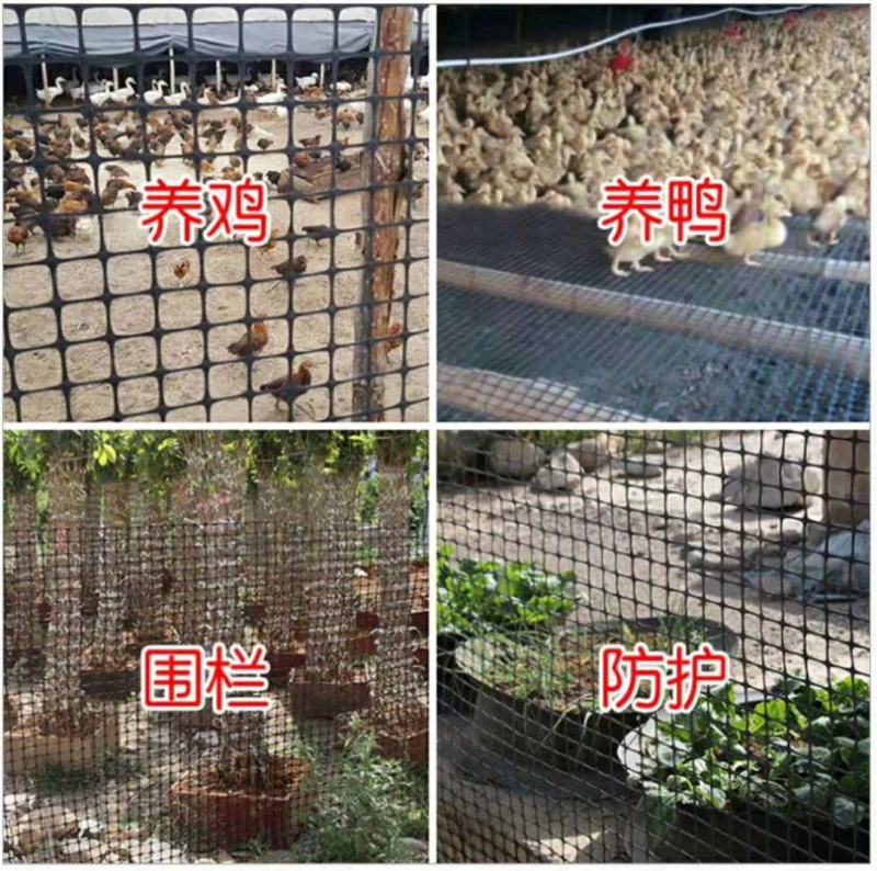 特厚塑料养殖网围栏网养鸡网鱼塘围网果园围网圈地圈山拦鸡网