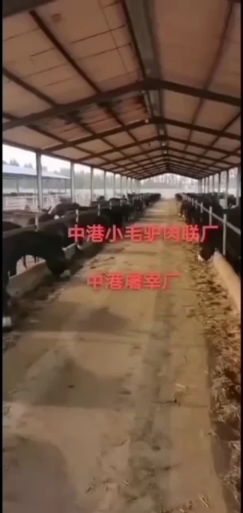 中港集团，驴肉，诚信经营！