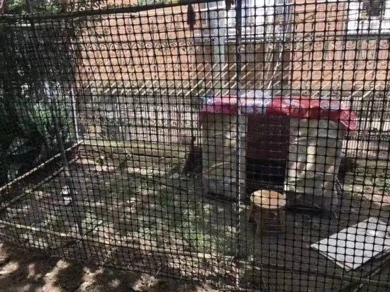 包邮加厚塑料围栏网大棚风口防兜水网果园围网圈地围网