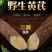 天然野生黄芪，高含量，整支，切片，全国包邮。