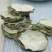 苦瓜片干特级正品野生苦瓜干茶散装500g新鲜