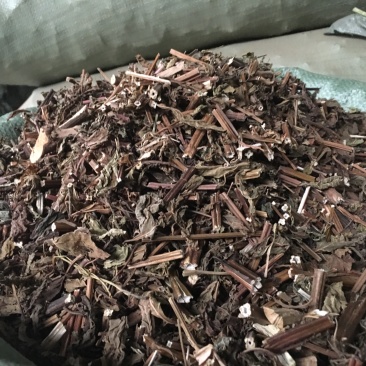 溪黄草整条切片苦溪黄批发各种中药