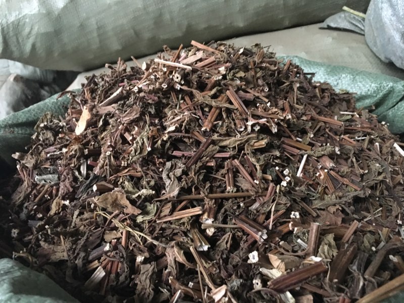 溪黄草整条切片苦溪黄批发各种中药