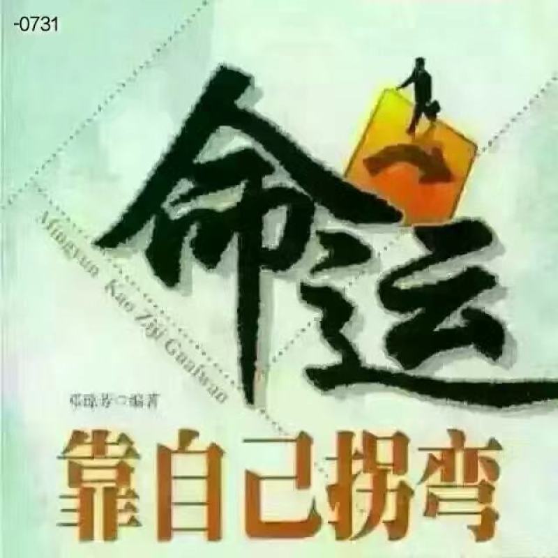 低价处理白皮松一级二级0.8米1米1.2米1.5米2米