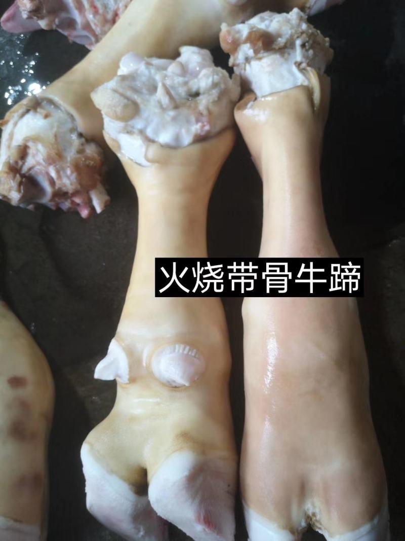 半去骨牛蹄，大公牛牛蹄，纯干货，干净卫生，一手货源，厂家
