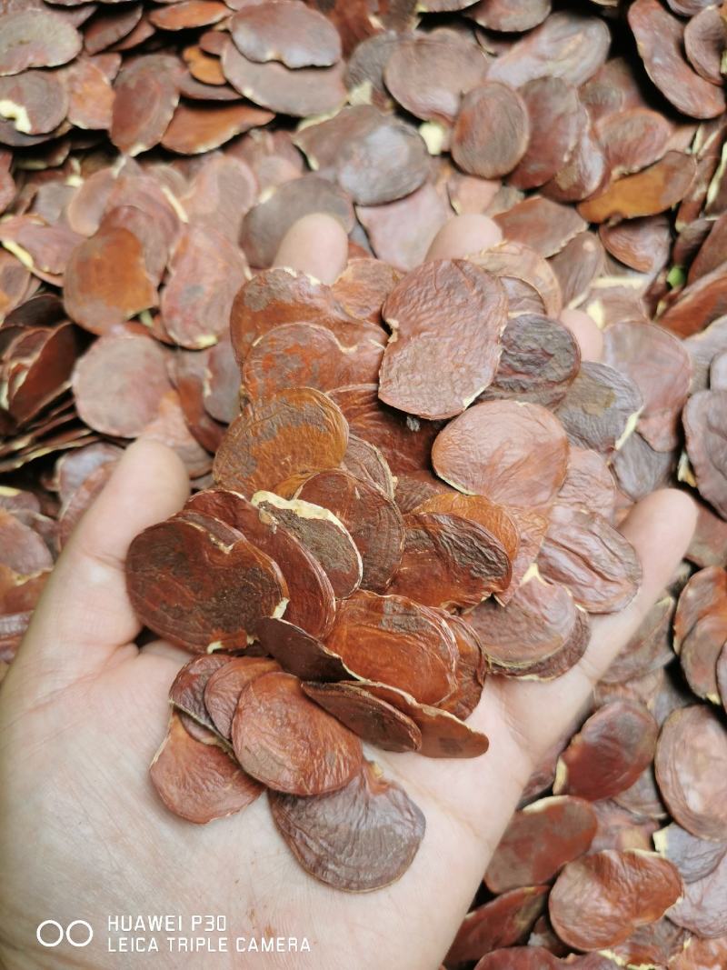 艳紫铆艳铆子艳艳紫铆产地直发包邮量大从优