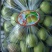 红香酥55到60以上0.85