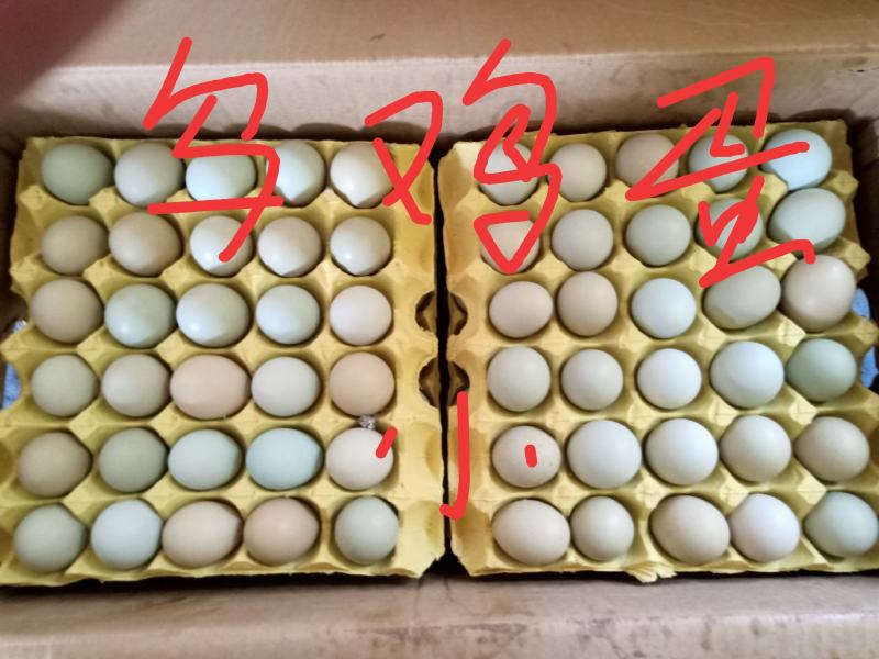 自家养殖，自产自销，品质新鲜