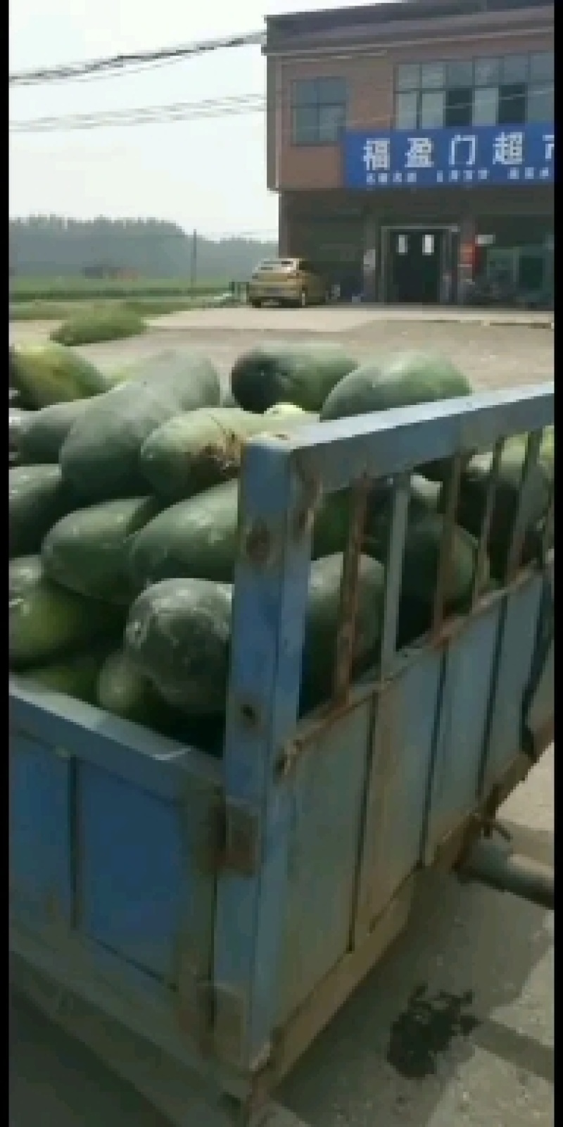 黑皮冬瓜，质量好，货源充足
